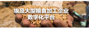 埃及大型粮食加工企业数字化平台